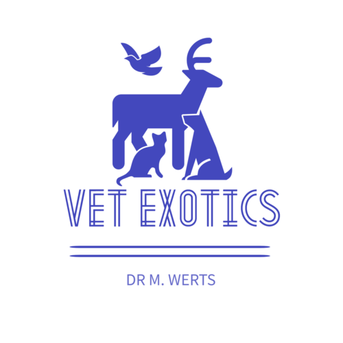 vetexotics-docteur-werts-veterinaire-animaux-nac-animauxdecompagnie-animauxdezoo-animauxexotiques-monthey-choex-valais-1